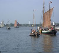 Fotogalerie "Rhinplatte Rund 2011"