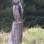 Auch wenn es diese Vögel auf Alderney geben soll… wir haben den Papageientaucher nur aus Holz gesehen